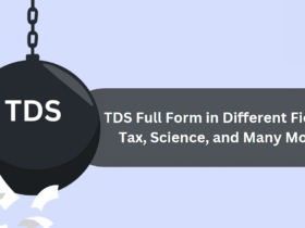 TDS FullForm