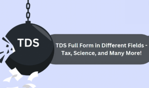 TDS FullForm