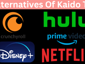 What are The Legal Alternatives Of Kaido To If You Want To Watch Anime?