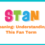 STAN Meaning