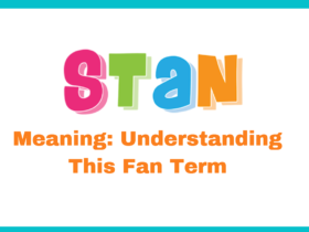 STAN Meaning