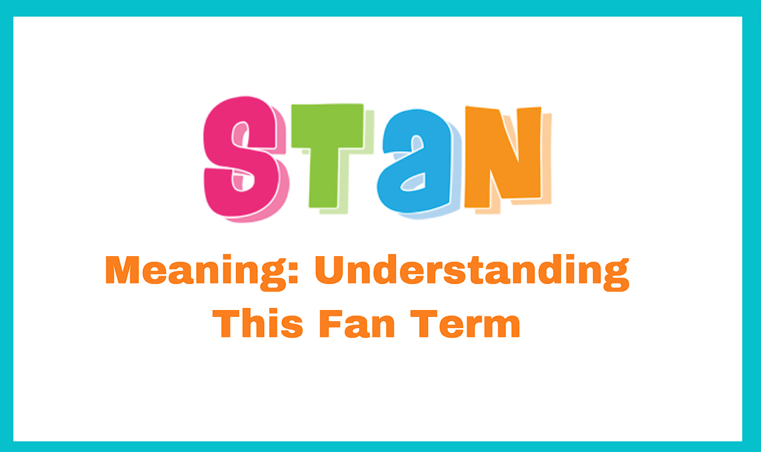 STAN Meaning